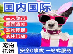 桂林两江机场空运国际宠物托运 【国